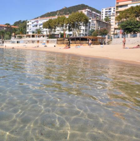 Appartement 50M2 Pied Dans L'Eau 阿雅克肖 外观 照片
